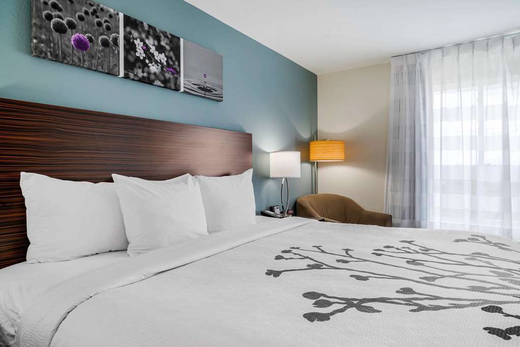 Sleep Inn & Suites Near Westchase Houston Pokoj fotografie
